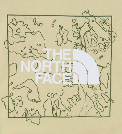 The North Face Sweatshirt - Grafik - Gravel/Forest Olive