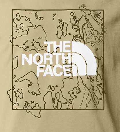 The North Face T-shirt - Graphic - Gravel/Forest Olive