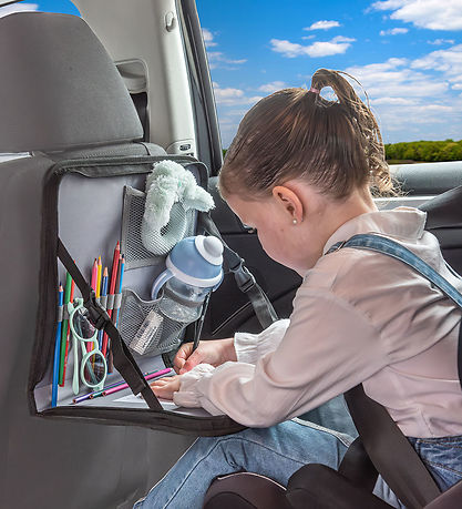 Dooky Backseat Organizer - Gray