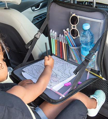 Dooky Backseat Organizer - Gray