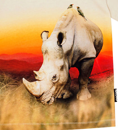 Molo Stuttermabolur - Roxo - Rhino