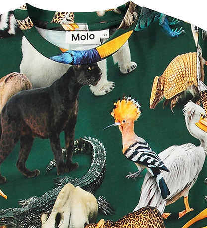 T-Shirt Molo - Ralphie - Mixed Animals