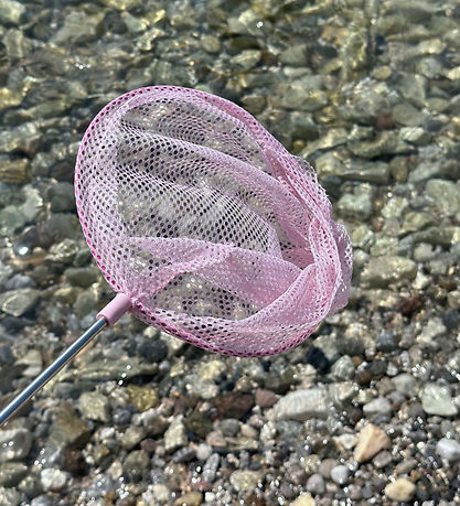 Follow the Duck Net - Telescopic Net - Blush Rose