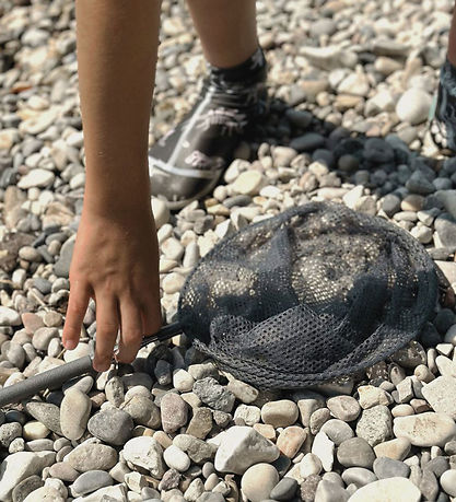 Follow the Duck Net - Telescopic Net - Anthracite Grey