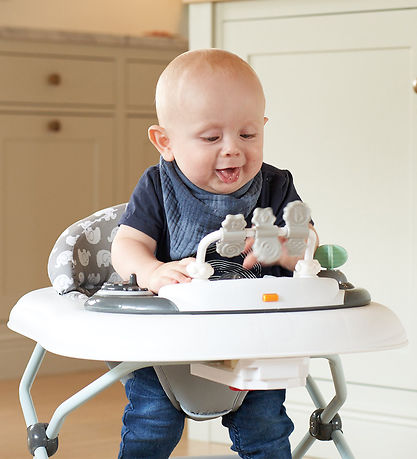 BabyDan Loopwagen - Grijs