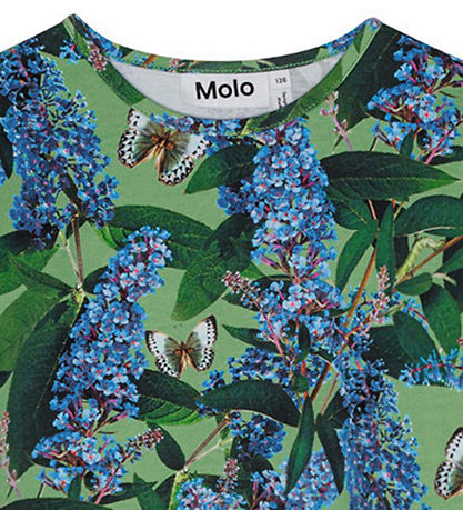 Molo Blússa - Rose - BuddLeja Garden