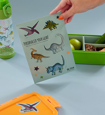 Rice Stickers To Lunchbox - 10 pcs - Dusty Green/New Dino