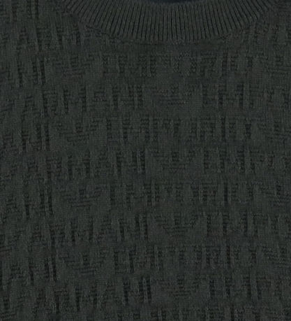 Emporio Armani Tröja - Akryl/Ull - Chimera m. Logotyper