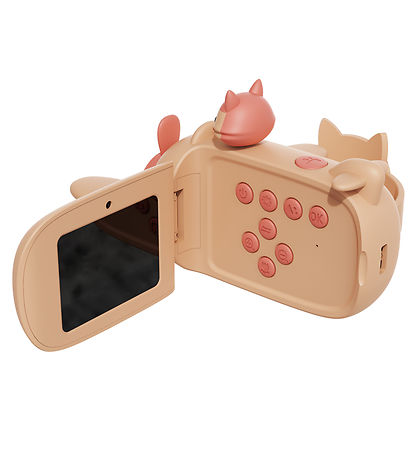 The Zoofamily Video camera - Zoo Video - Fox