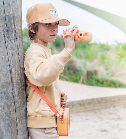 The Zoofamily Video camera - Zoo Video - Fox