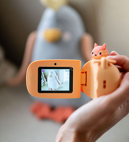 The Zoofamily Video camera - Zoo Video - Fox