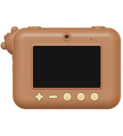 The Zoofamily Camera - Zoo Print - Bear