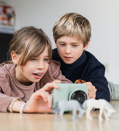 The Zoofamily Camera - Zoo Print - Dino