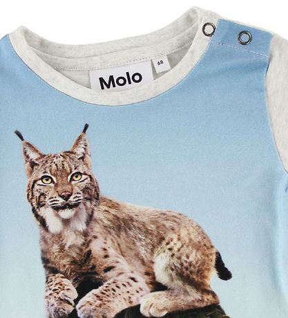 Molo T-paita - Eddie - Cactus Cat