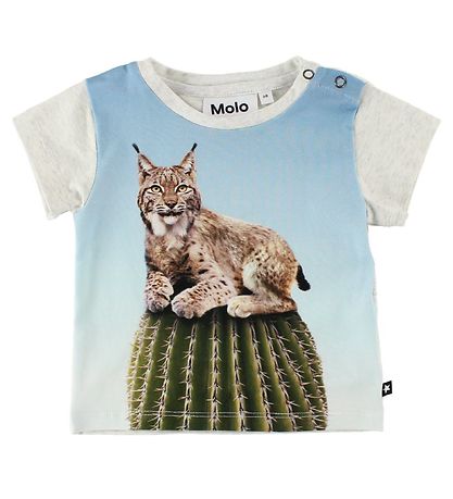 Molo T-paita - Eddie - Cactus Cat