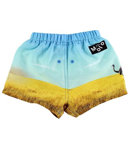 Molo Swim Trunks - UV50+ - Newton - Rhino