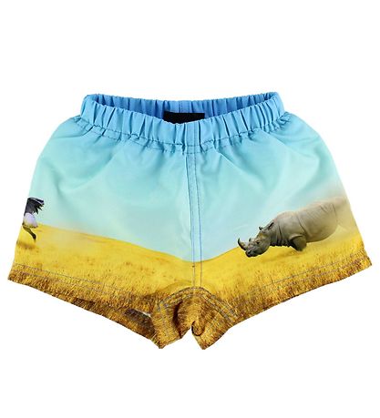 Molo Swim Trunks - UV50+ - Newton - Rhino