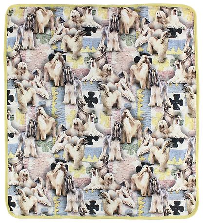 Molo Blanket - 80x75 - Neala - Dogtastic
