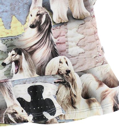 Molo Stuttermabolur - Ebba - Dogtastic