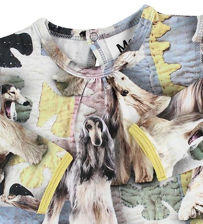 Molo Kjóll - Caroline - Dogtastic