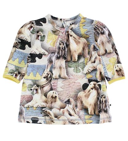 Molo Kjóll - Caroline - Dogtastic