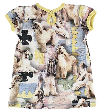 Molo Kleid - Cathleen - Dogtastic