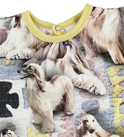 Molo Kleid - Cathleen - Dogtastic