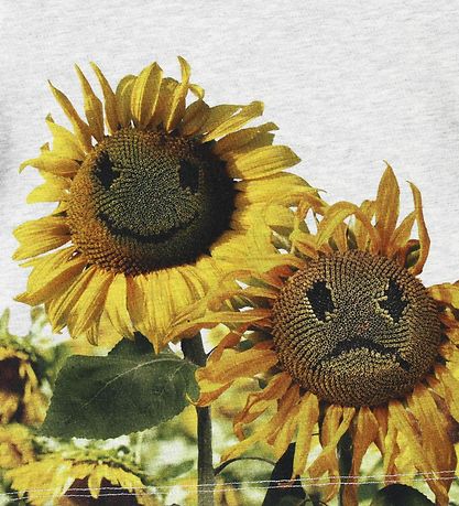 Molo Stuttermabolur - Emilio - Moody Flowers