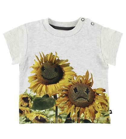 Molo Stuttermabolur - Emilio - Moody Flowers