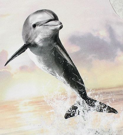 Molo Kleid - Corina - Jumping Dolphin