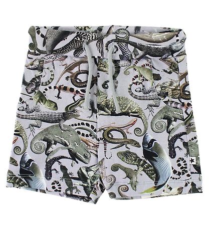 Molo Shorts - Simroy - Entangled