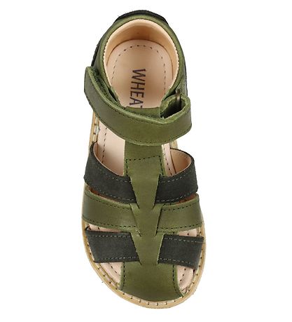 Wheat Sandals - Bailey - Olive