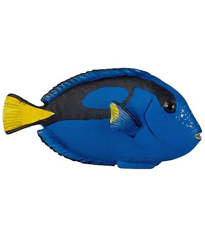 Papo Litur skurðlæknir fiskur - L: 8 cm