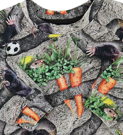 Molo Peysa - Dagur - Moles