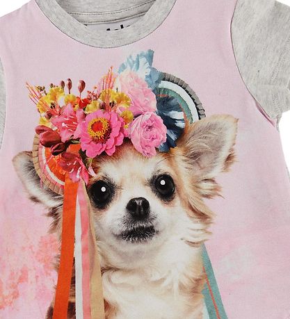 Molo Stuttermabolur - Erin - Chihuahua