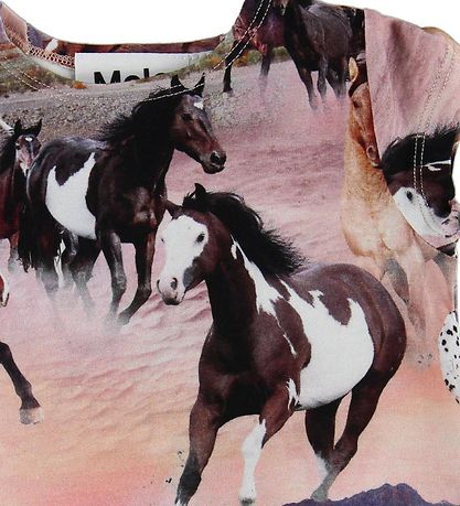 Molo Stuttermabolur - Ebba - Wild Horses