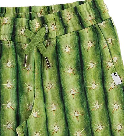 Molo Sweat Shorts - Arnt - Cactus