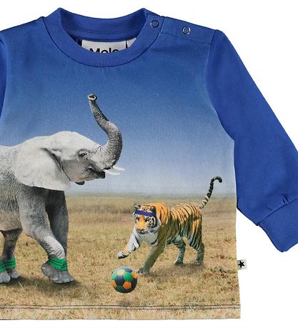 Molo Tröja - Eloy - Go Tiger!