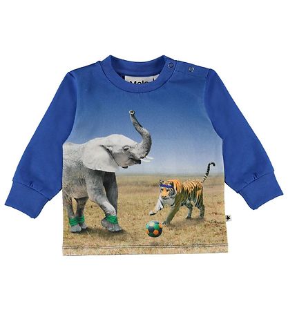 Molo Tröja - Eloy - Go Tiger!