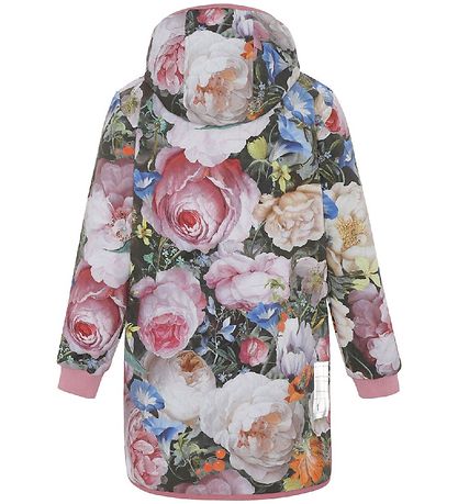 Molo Softshell Jacket - Hillary - Still Life