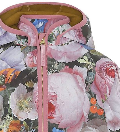 Molo Softshell Jacket - Hillary - Still Life