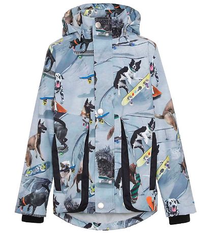 Molo Zomerjas Casper Doggy Blue Stad Shop Hier KW NL