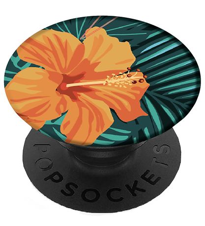 Richmond & Finch Grip - Appelsína Hibiscus