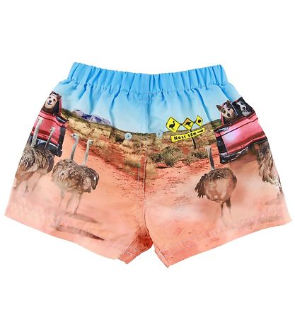 Molo Badshorts - UV50+ - Newton - in The Bush