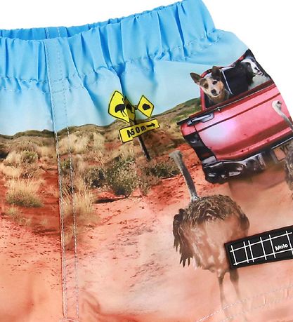 Molo Badshorts - UV50+ - Newton - in The Bush