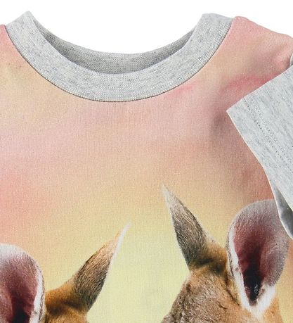 Molo Stuttermabolur - Elly - Sæt Kangaroos