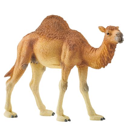 Schleich Dýr - H: 11 cm - Dromedary 14832