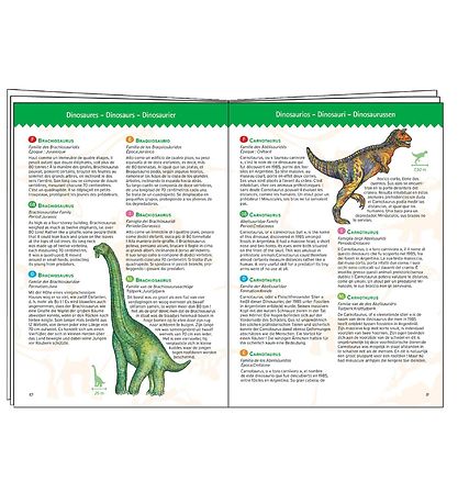 Djeco Puzzle - 100 Pieces - Dinosaurs
