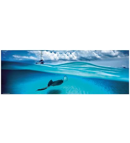 Heye Puzzle - Panorama - Stingray - 1000 pcs
