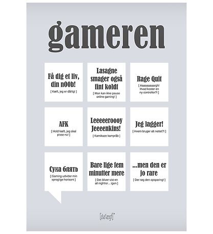 Dialægt Poster - 30x42 - Gameren